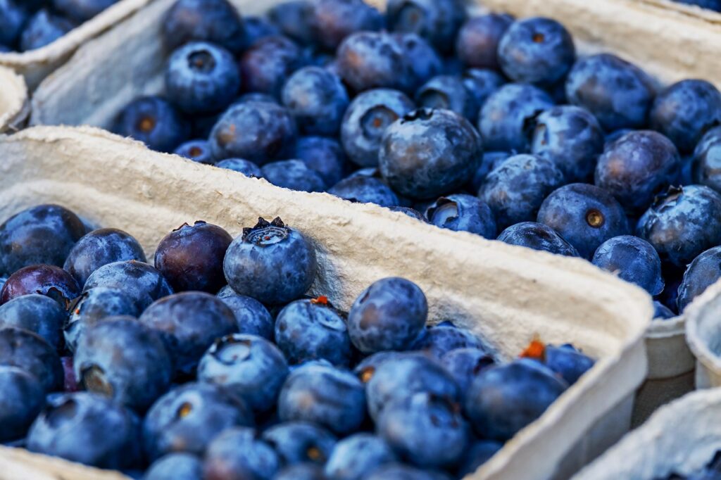 blueberries, berries, fruits, food, fresh, healthy, ripe, organic, sweet, produce, green grapes, harvest, vitamins, blueberries, blueberries, blueberries, blueberries, blueberries